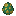 Pollen Beetle